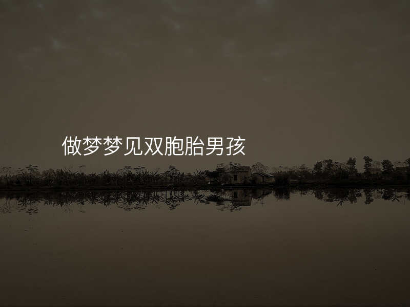 做梦梦见双胞胎男孩