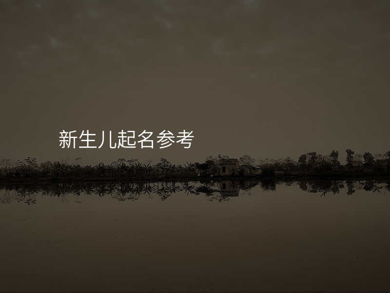 新生儿起名参考