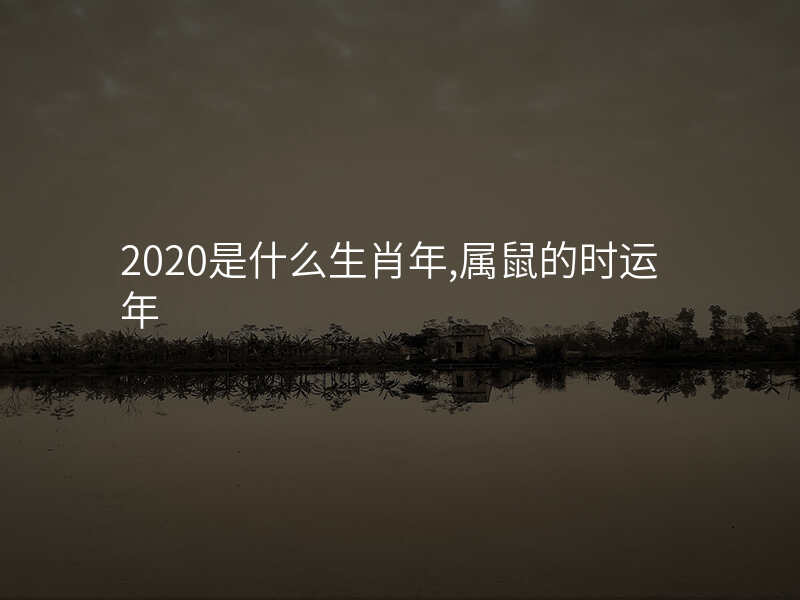 2020是什么生肖年,属鼠的时运年