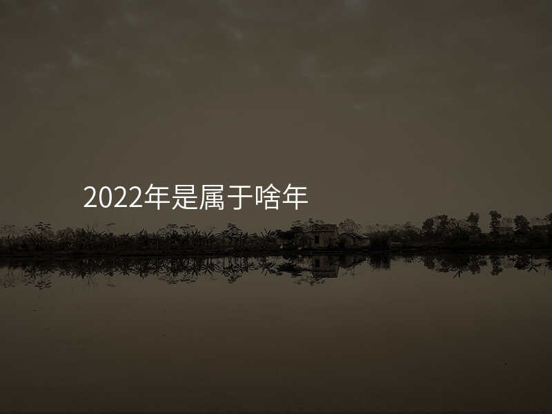 2022年是属于啥年