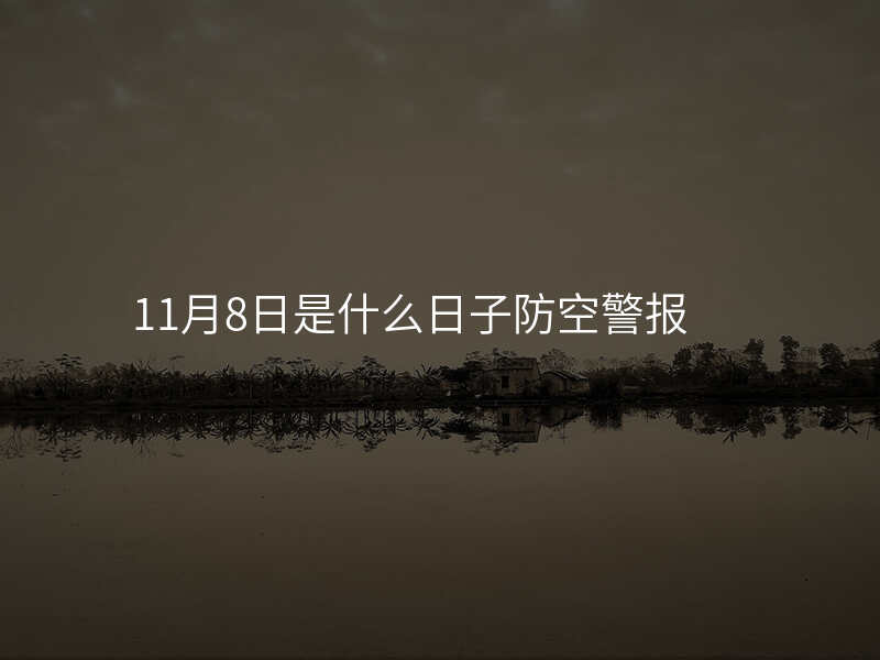 11月8日是什么日子防空警报