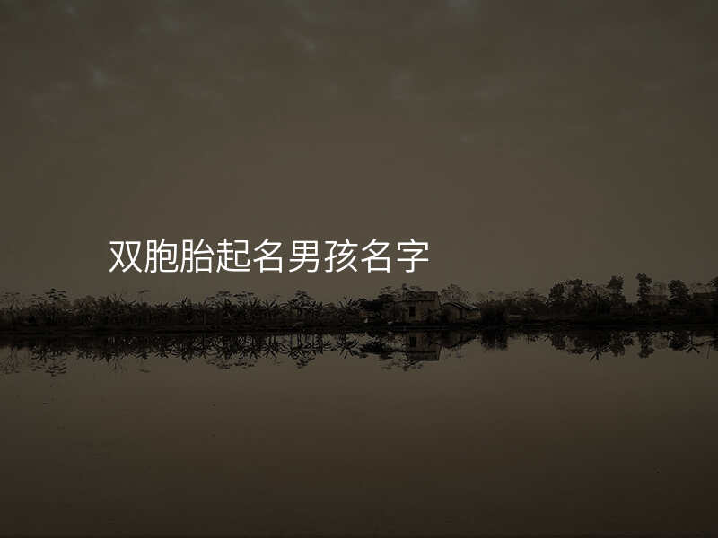 双胞胎起名男孩名字