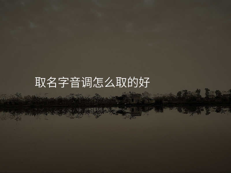 取名字音调怎么取的好