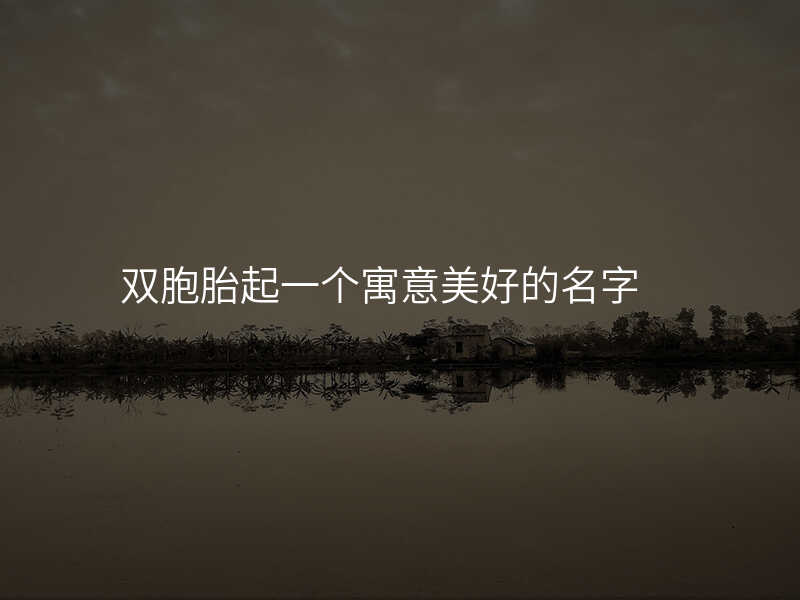 双胞胎起一个寓意美好的名字