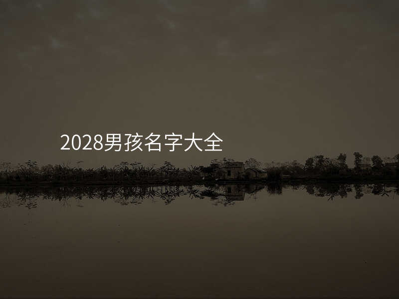 2028男孩名字大全
