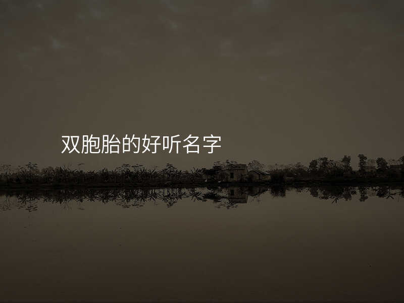 双胞胎的好听名字