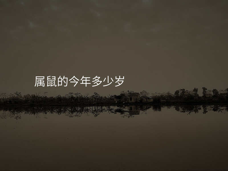 属鼠的今年多少岁