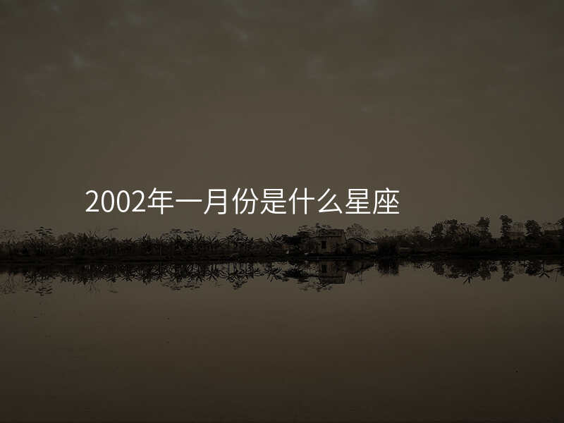 2002年一月份是什么星座