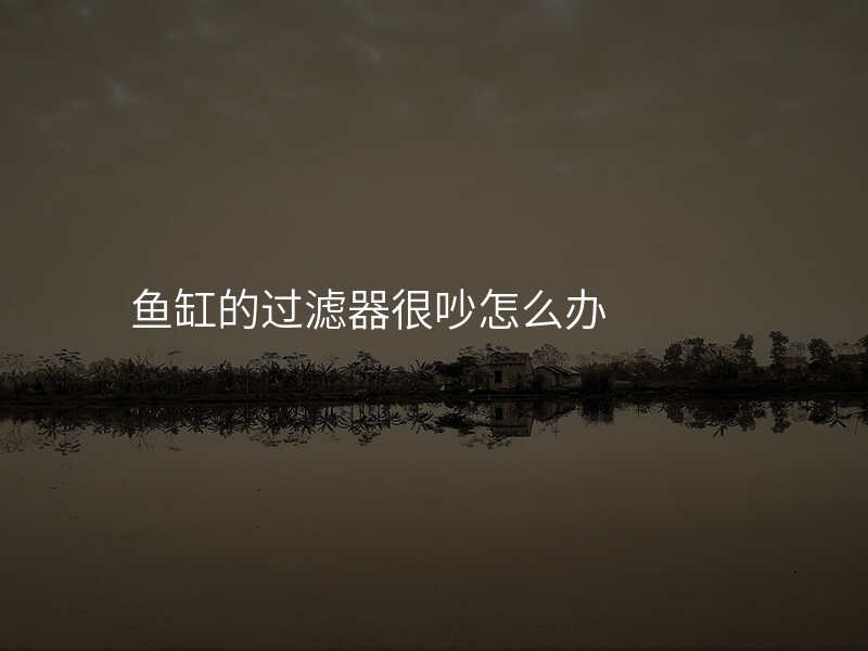鱼缸的过滤器很吵怎么办