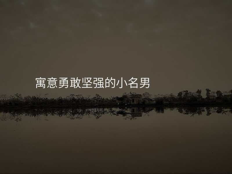 寓意勇敢坚强的小名男