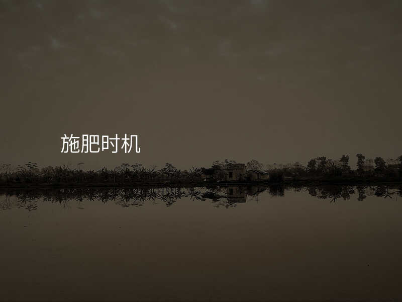 施肥时机