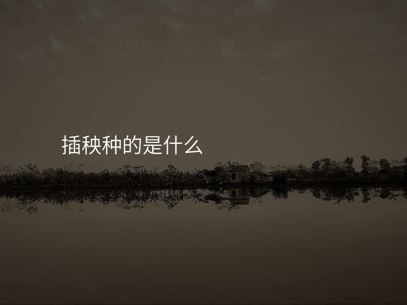 插秧种的是什么
