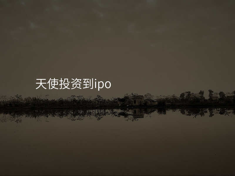 天使投资到ipo