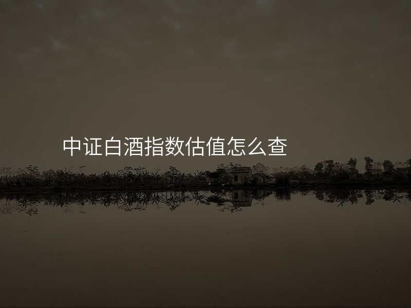 中证白酒指数估值怎么查