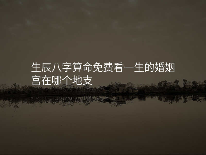 生辰八字算命免费看一生的婚姻宫在哪个地支