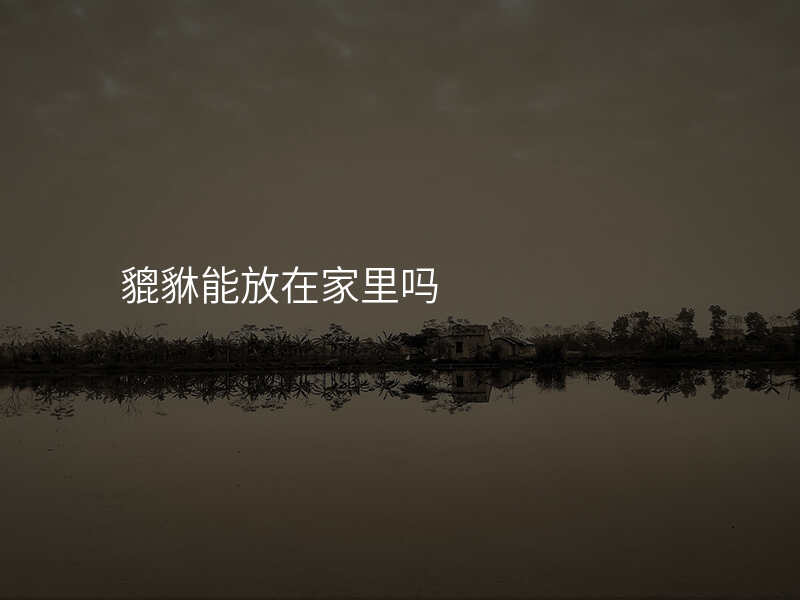 貔貅能放在家里吗