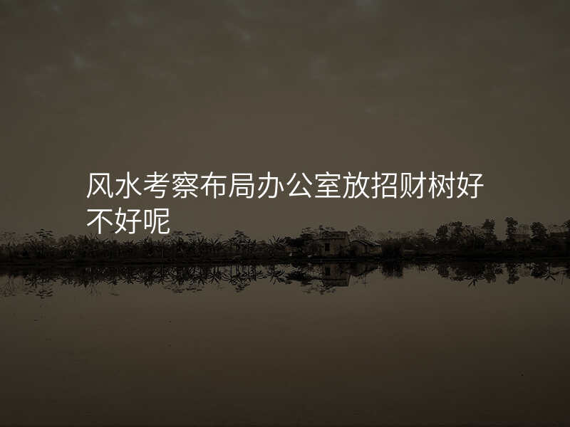 风水考察布局办公室放招财树好不好呢