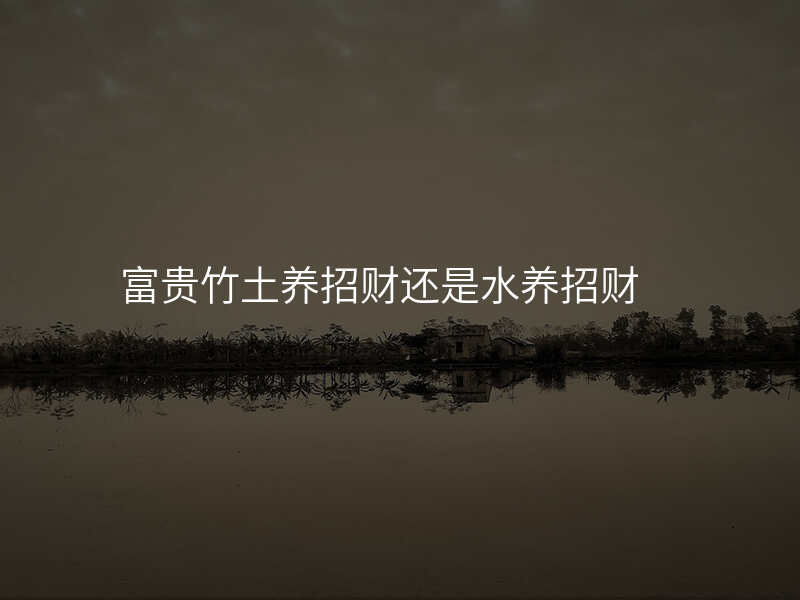 富贵竹土养招财还是水养招财