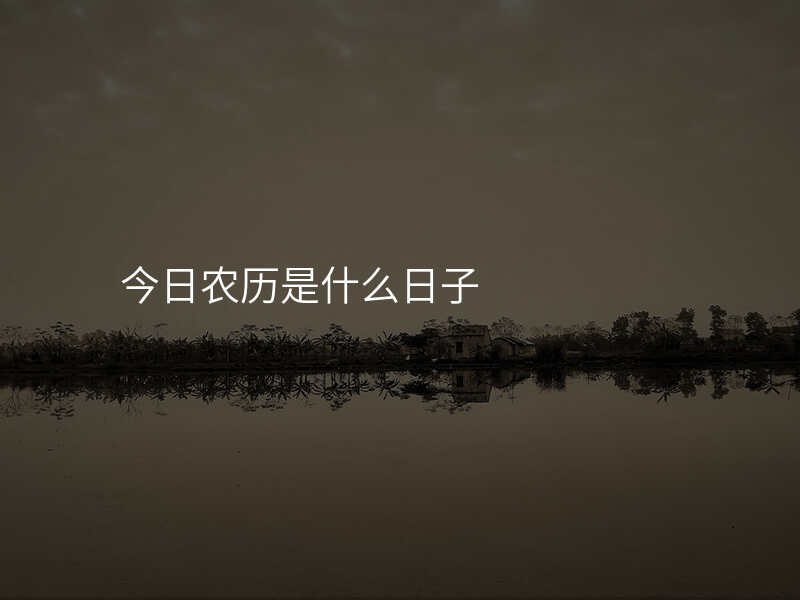 今日农历是什么日子