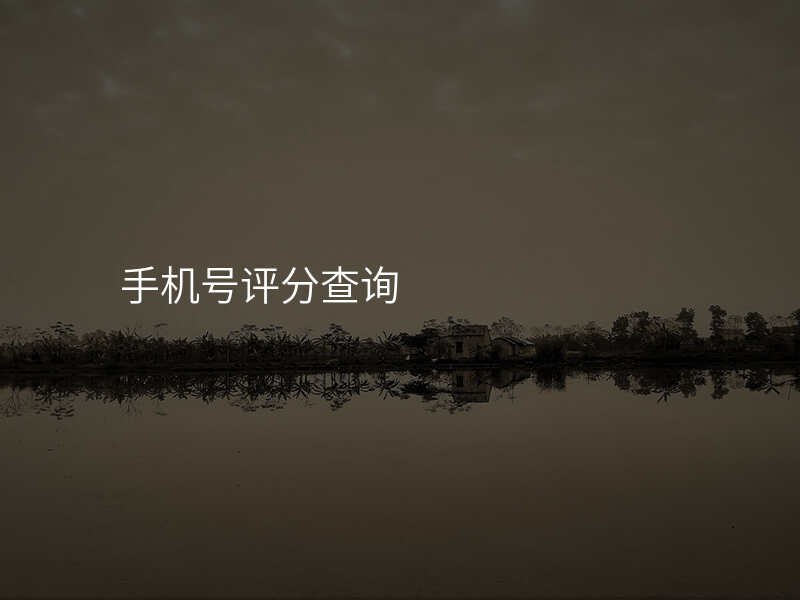 手机号评分查询