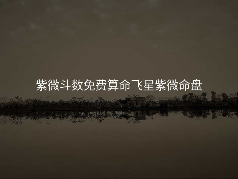 紫微斗数免费算命飞星紫微命盘