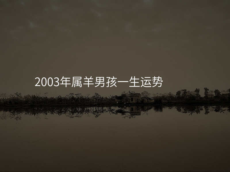 2003年属羊男孩一生运势