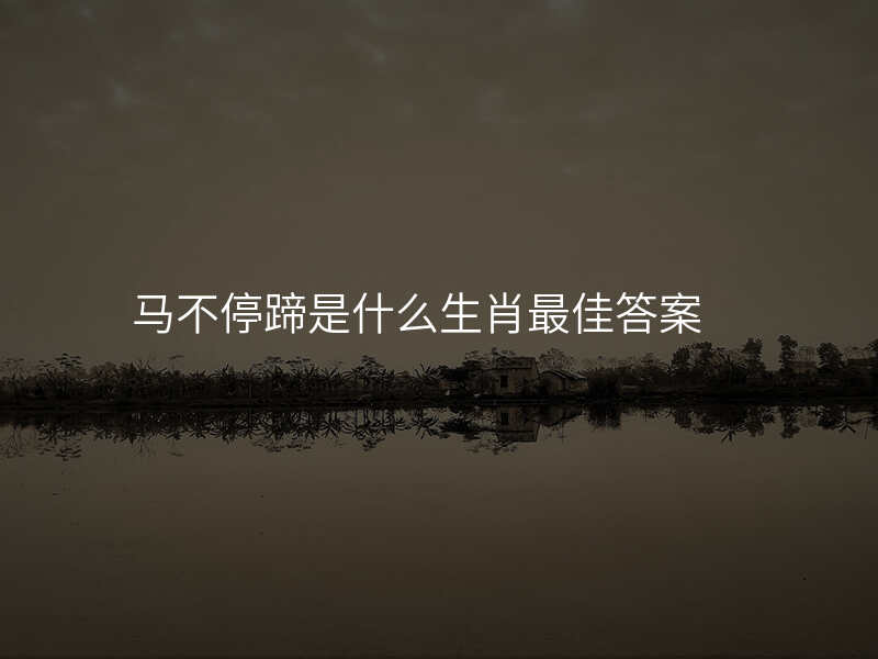 马不停蹄是什么生肖最佳答案