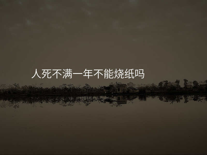 人死不满一年不能烧纸吗