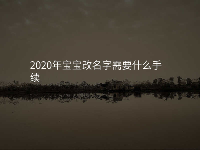 2020年宝宝改名字需要什么手续