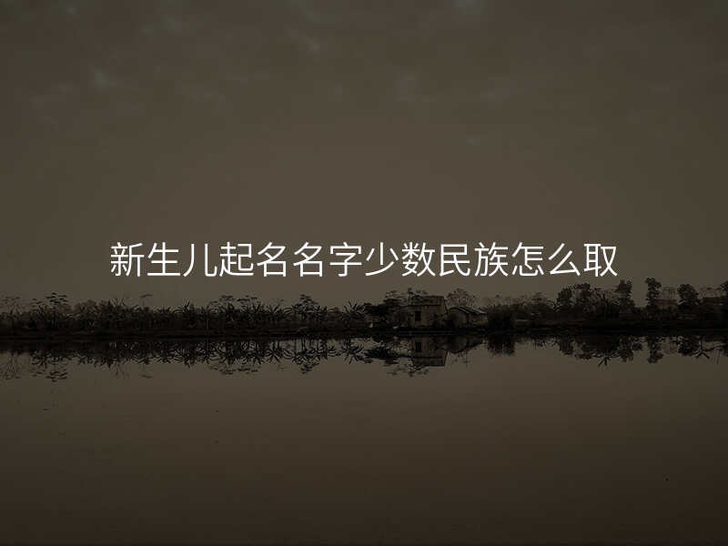 新生儿起名名字少数民族怎么取