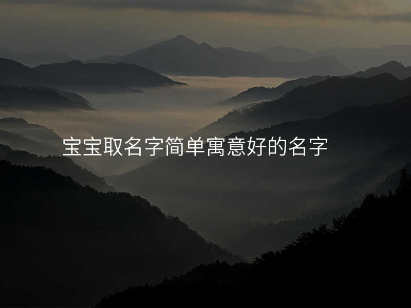 宝宝取名字简单寓意好的名字