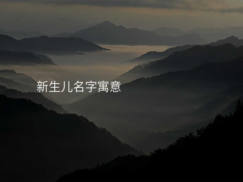 新生儿名字寓意