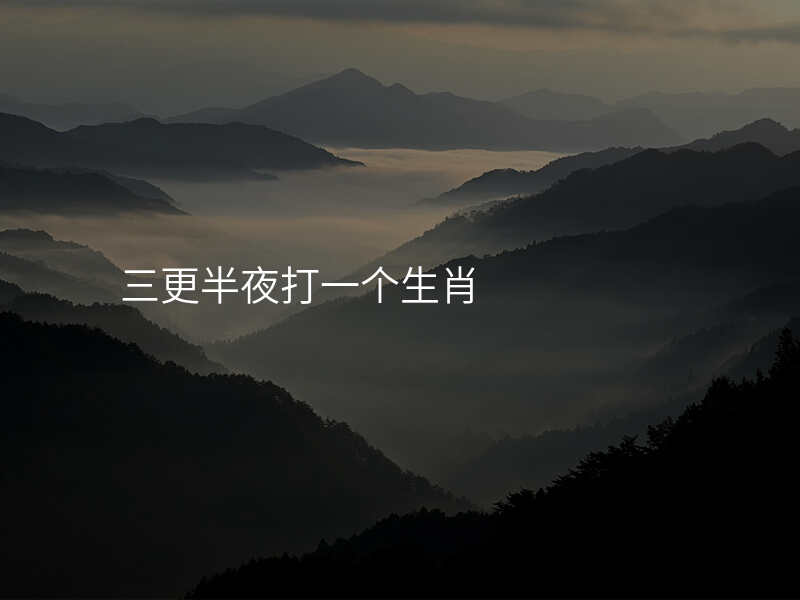 三更半夜打一个生肖
