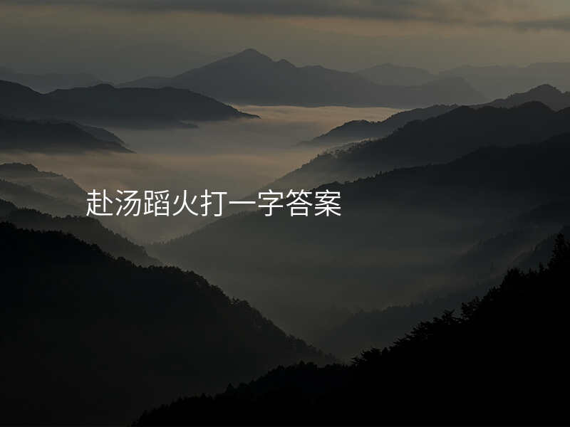 赴汤蹈火打一字答案