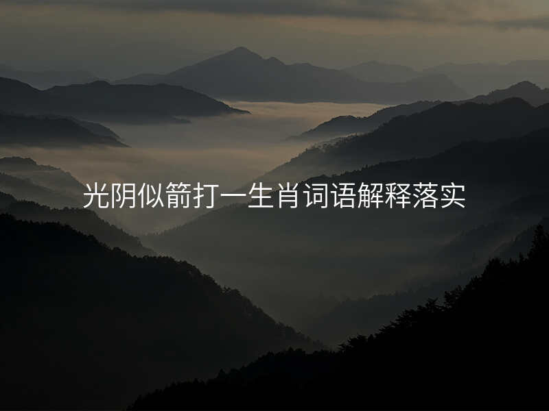 光阴似箭打一生肖词语解释落实
