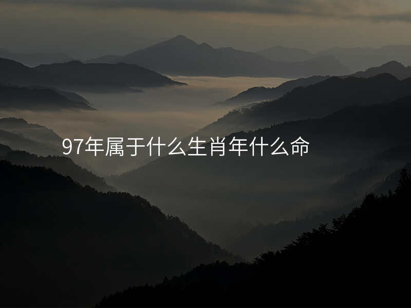 97年属于什么生肖年什么命