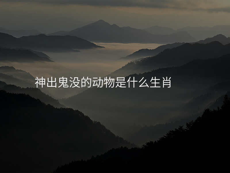 神出鬼没的动物是什么生肖