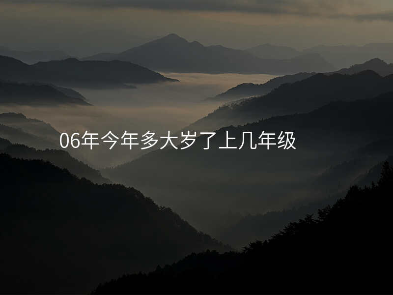 06年今年多大岁了上几年级