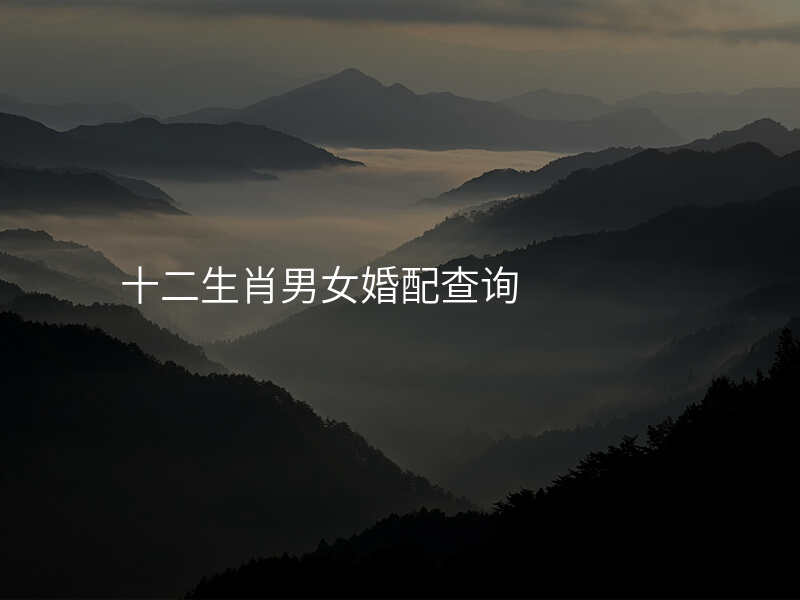 十二生肖男女婚配查询