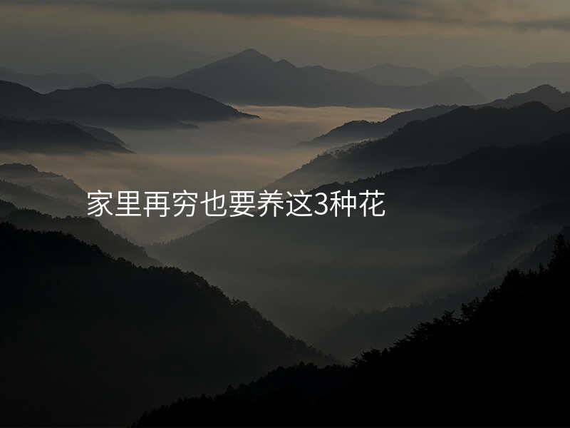 家里再穷也要养这3种花