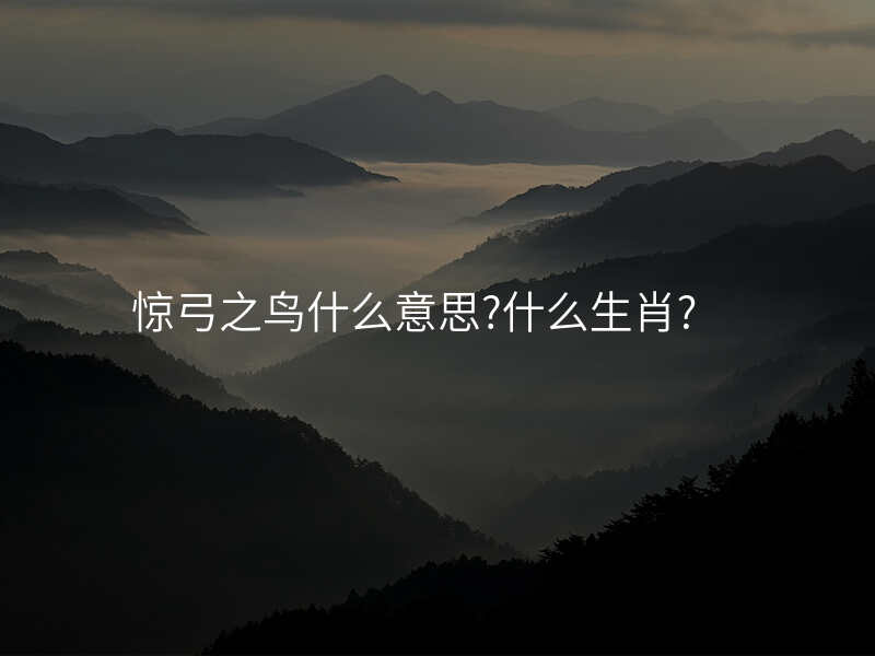 惊弓之鸟什么意思?什么生肖?