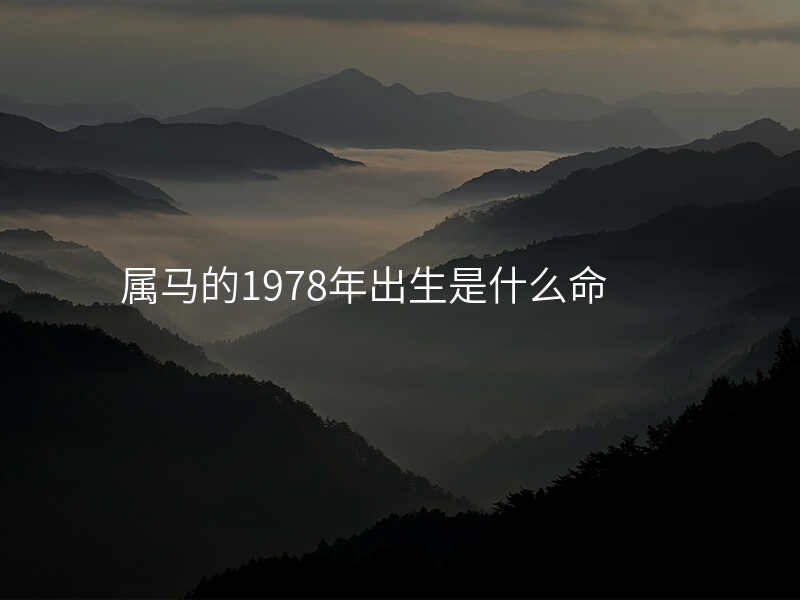 属马的1978年出生是什么命