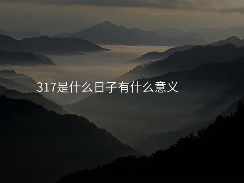 317是什么日子有什么意义
