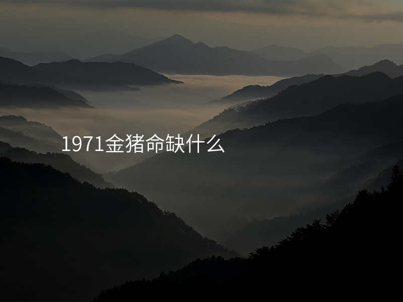 1971金猪命缺什么