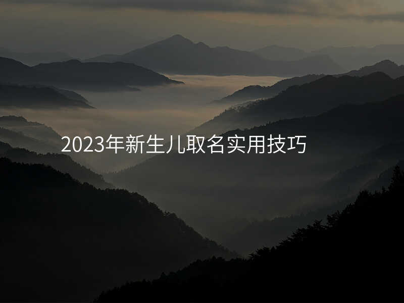 2023年新生儿取名实用技巧