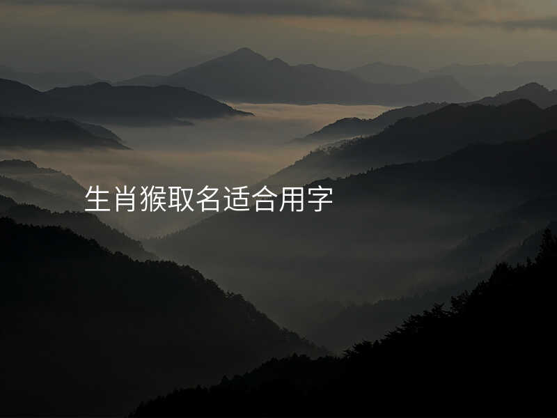 生肖猴取名适合用字
