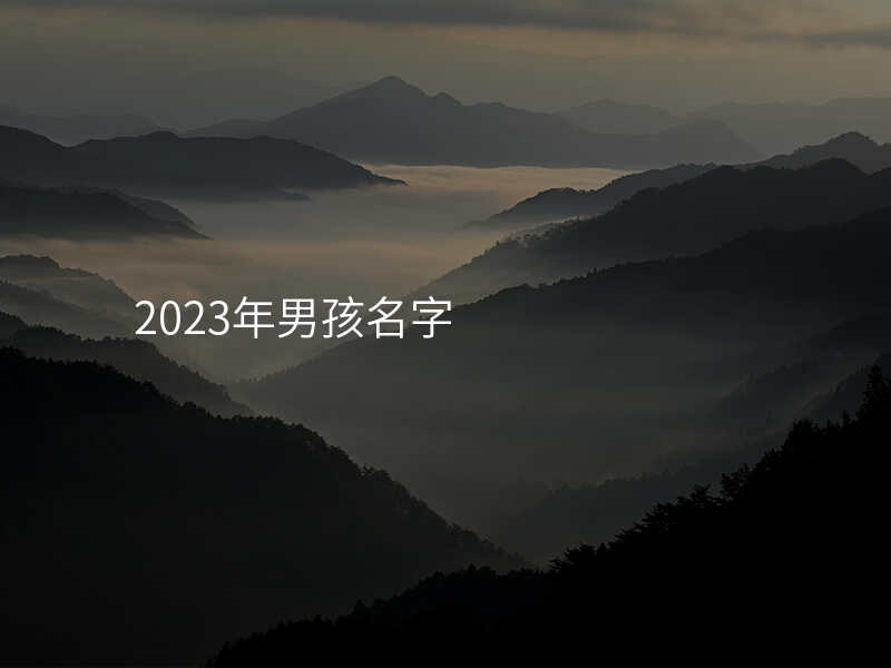 2023年男孩名字