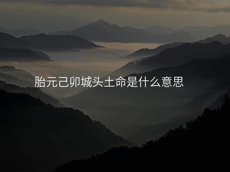 胎元己卯城头土命是什么意思