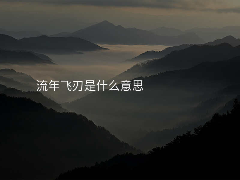流年飞刃是什么意思
