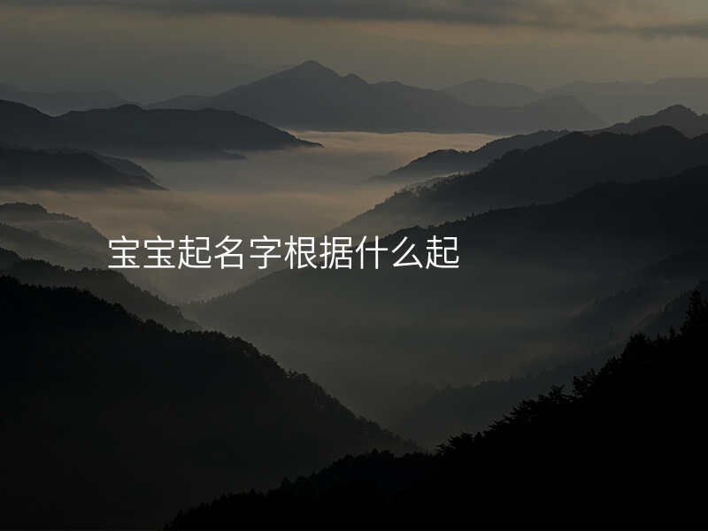 宝宝起名字根据什么起
